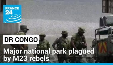 Democratic Republic of Congo: Virunga national park plagued by M23 rebels • FRANCE 24 English