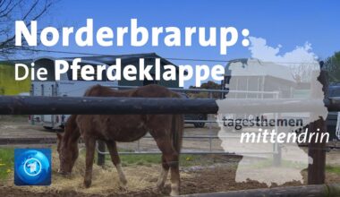 Norderbrarup: Die Pferdeklappe | tagesthemen mittendrin