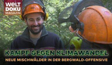 KLIMAWANDEL: Die Bergwaldoffensive zur Rettung der deutschen Natur - wie neue Mischwälder entstehen