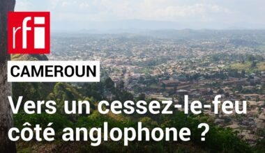 Cameroun : vers un cessez-le-feu dans les régions anglophones ? • RFI