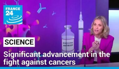 The Car-T cell revolution: reprogramming lymphocytes against cancer • FRANCE 24 English