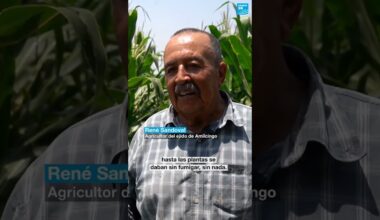 1/2 ▶️ México: campesinos de Morelos en jaque por falta de agua y apoyo gubernamental