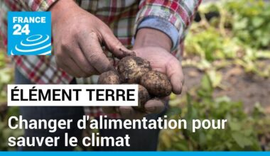 La Banque Mondiale appelle à une révolution agricole pour sauver le climat • FRANCE 24