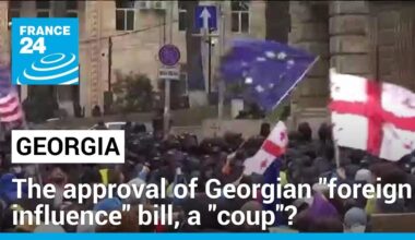 Hans Gutbrod: The approval of Georgian "foreign influence" bill can be seen as a "coup"