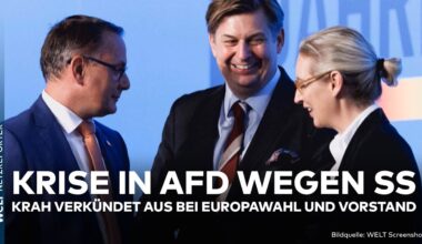 KRISE IN AFD: Äußerung zur SS! Maximilian Krah zieht sich aus Europawahl und Vorstand zurück