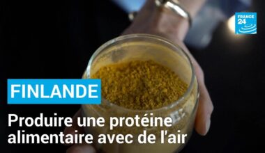 En Finlande, des "agriculteurs du futur" créent une protéine alimentaire avec de l'air