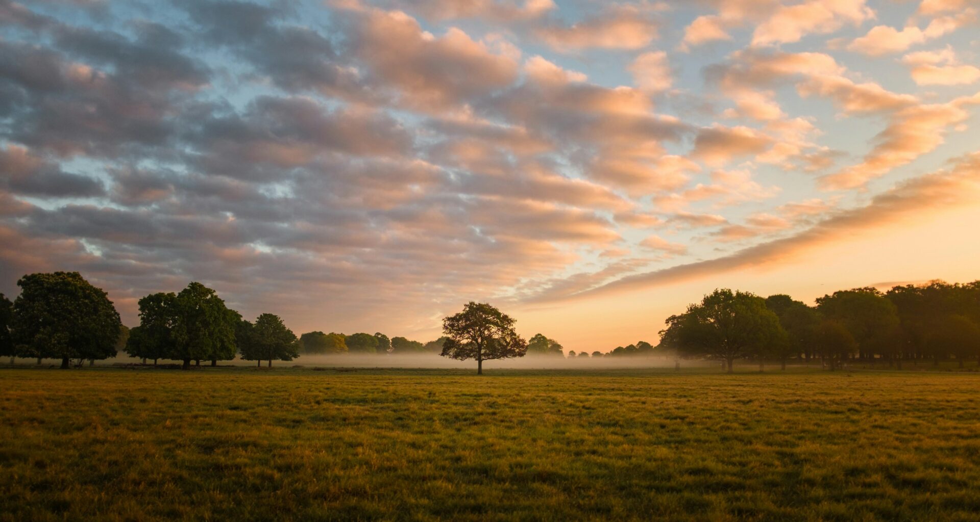 Richmond Park, Richmond, United Kingdom