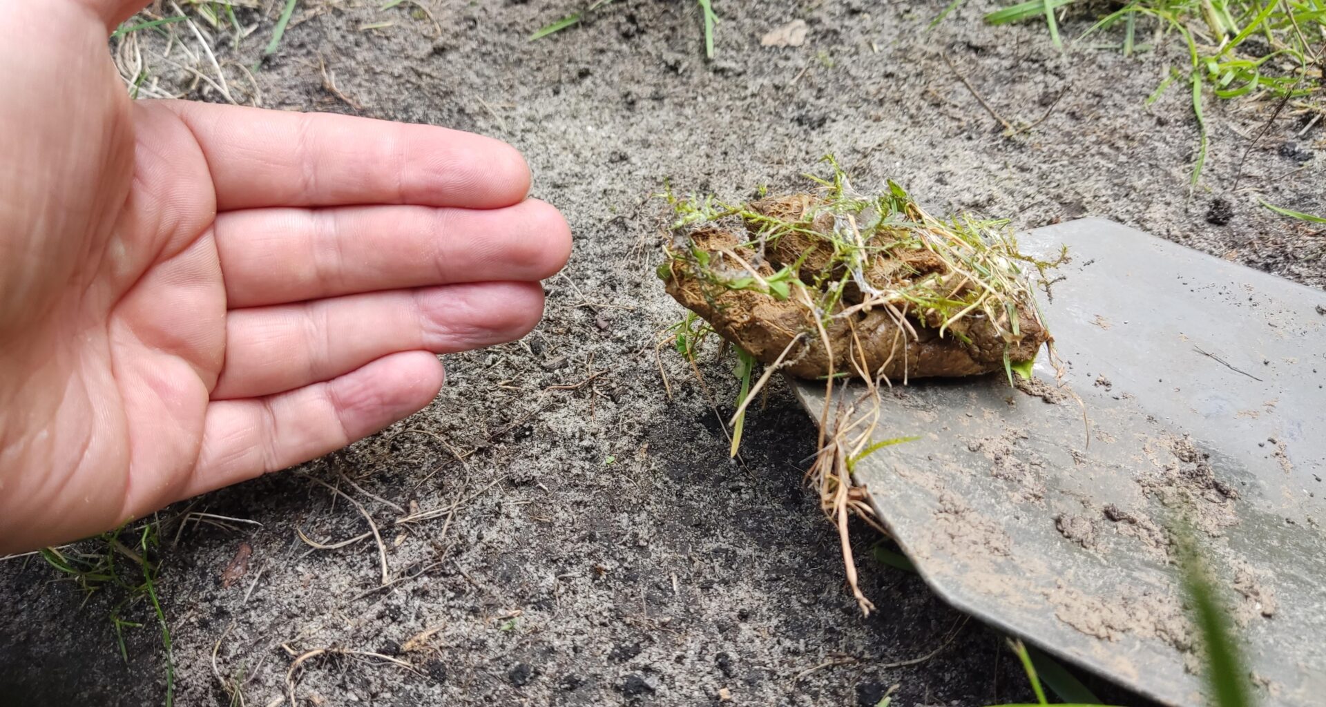 Wer hat mir da in den Garten geschissen?