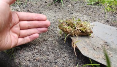 Wer hat mir da in den Garten geschissen?