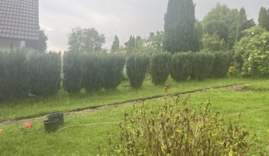 Wie die Hecke schließen?