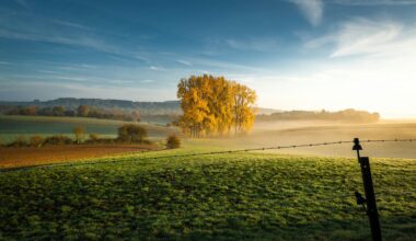 Onhaye, Belgium