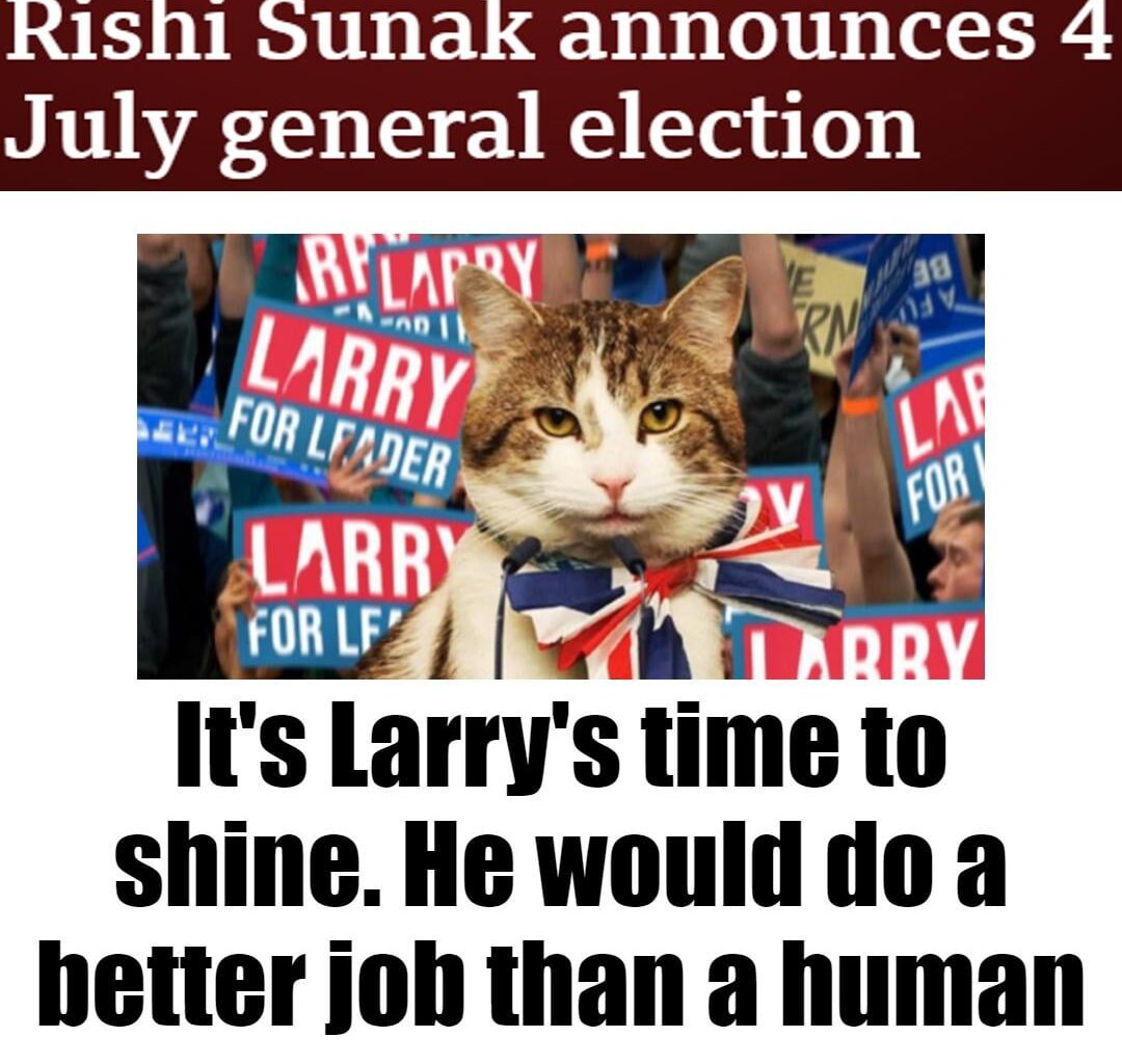 Vote Larry the Cat for Prime Minister this summer