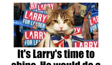 Vote Larry the Cat for Prime Minister this summer