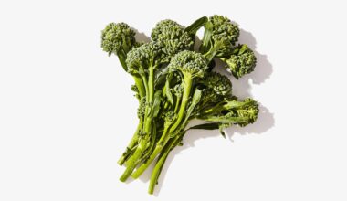 Rapini/Broccolini kaufen