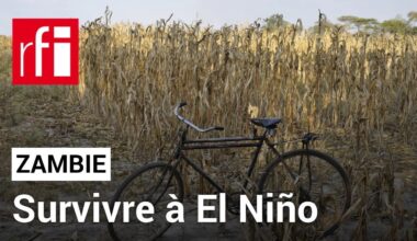 Zambie : Survivre à El Niño • RFI