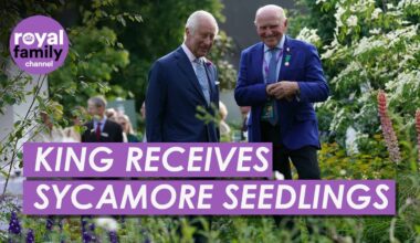 King Receives Famous Sycamore Gap Tree Seedlings Months after Felling