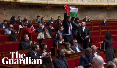 French parliament suspended after MP waves Palestinian flag