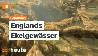 Sch**** im Wasser! Abwasserkrise in England | auslandsjournal