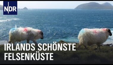 Magisches Dingle – Irlands Halbinsel am Ende der Welt | Nordseereport Spezial | NDR Doku