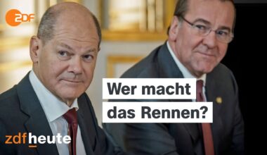 Scholz, Pistorius und die K-Frage | Berlin direkt