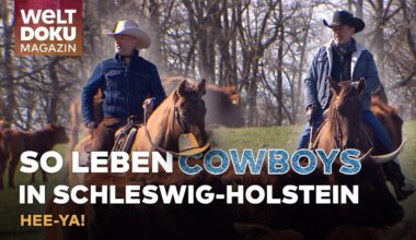 WILDER WESTEN IN SCHLESWIG-HOLSTEIN: Cowboys mit Leidenschaft und Lassos in der Landwirtschaft!