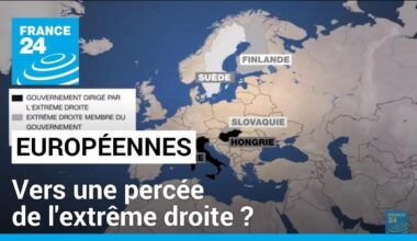 Européennes : vers une percée de l'extrême droite ? • FRANCE 24