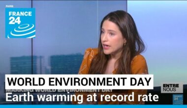 World Environment Day: Earth warming at record rate, 2023 the warmest year on record • FRANCE 24