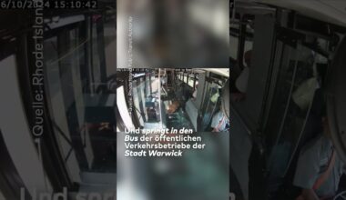 USA: Schock im Bus! Reh springt durch Scheibe I WELT #shorts