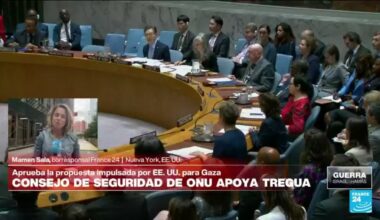 Informe desde Nueva York: Consejo de Seguridad de la ONU apoyó propuesta de tregua en Gaza