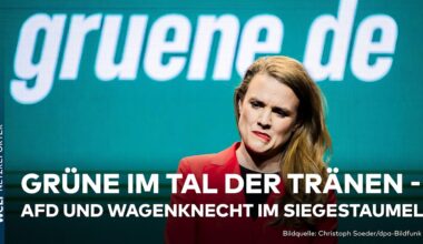 RECHTSRUCK IN EUROPA: Schock für Grüne bei Europawahl – AfD wird zweitstärkste Kraft