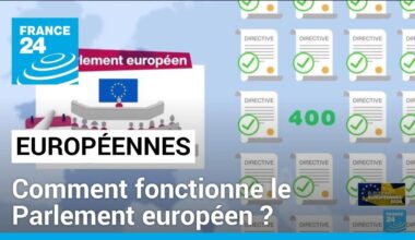 Élections européennes : comment fonctionne le Parlement européen ? • FRANCE 24