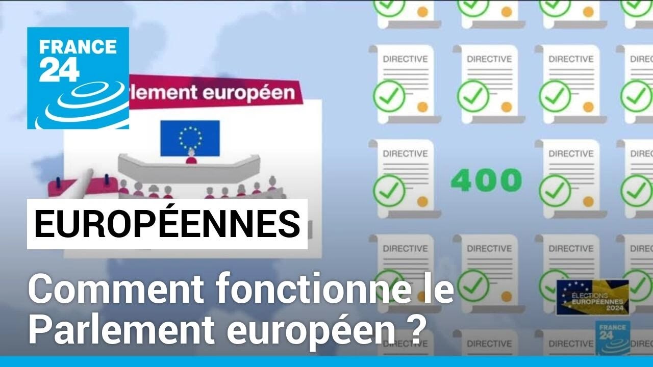 Élections européennes : comment fonctionne le Parlement européen ? • FRANCE 24