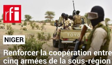 Niger, Mali, Burkina, Tchad et Togo mènent des exercices militaires conjoints • RFI