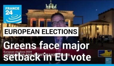 2024 European elections: Greens face major setback in EU vote • FRANCE 24 English