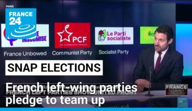 French left-wing parties pledge to team up for snap elections • FRANCE 24 English