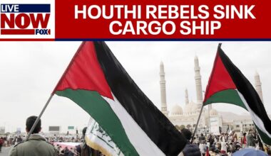 Live Israel-Hamas War updates: Houthis sink cargo ship in Red Sea attack | LiveNOW from FOX