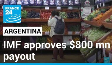 IMF board approves Argentina payout of almost $800 mn • FRANCE 24 English