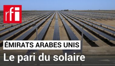 Émirats arabes unis : le pari du solaire• RFI