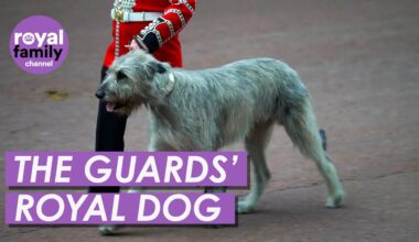 Who is the Irish Guards’ Dog in Trooping the Colour?