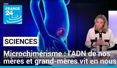 La révolution du microchimérisme : nous portons tous en nous l'ADN de nos mères, ainés et aïeux