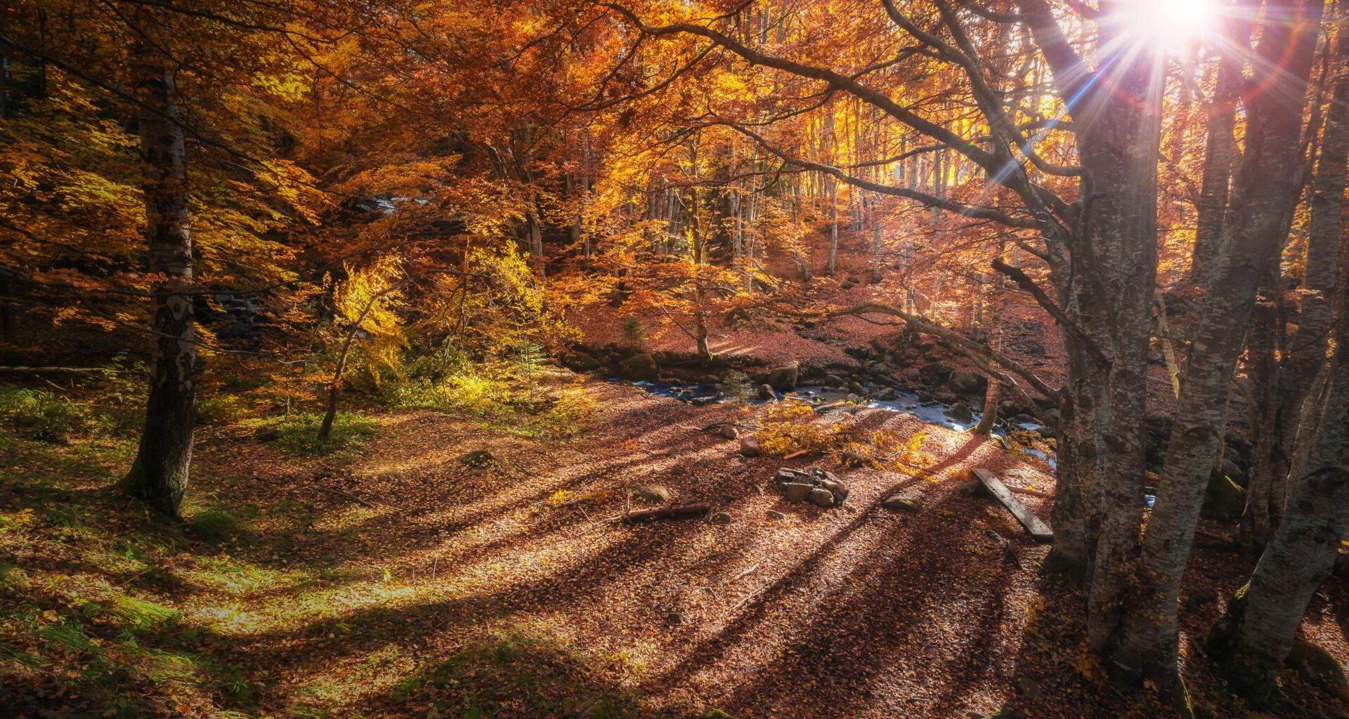 Autumn in Vitosha mountain, Bulgaria