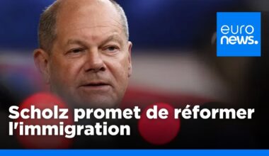 Allemagne : Olaf Scholz s'engage à améliorer la gestion de l'immigration clandestine | euronews 🇫🇷