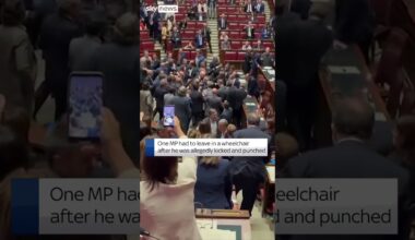 Brawl breaks out in Italian parliament