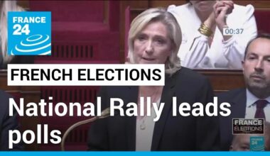 Latest polls put Le Pen's National Rally ahead in French snap elections • FRANCE 24 English