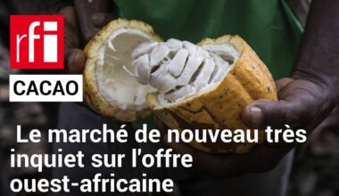 Le marché du cacao de nouveau très inquiet sur l'offre ouest-africaine • RFI