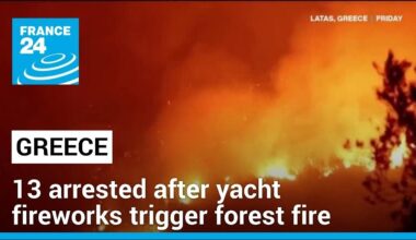 13 arrested after yacht fireworks trigger Greek forest fire • FRANCE 24 English