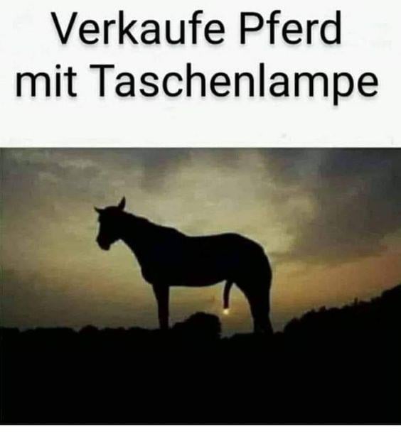 Pferd mit Taschenlampe--- :-D