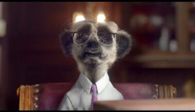 ‘Sergei’ from the popular British ‘Compare The Meerkat” advert stands trial for war crimes today.