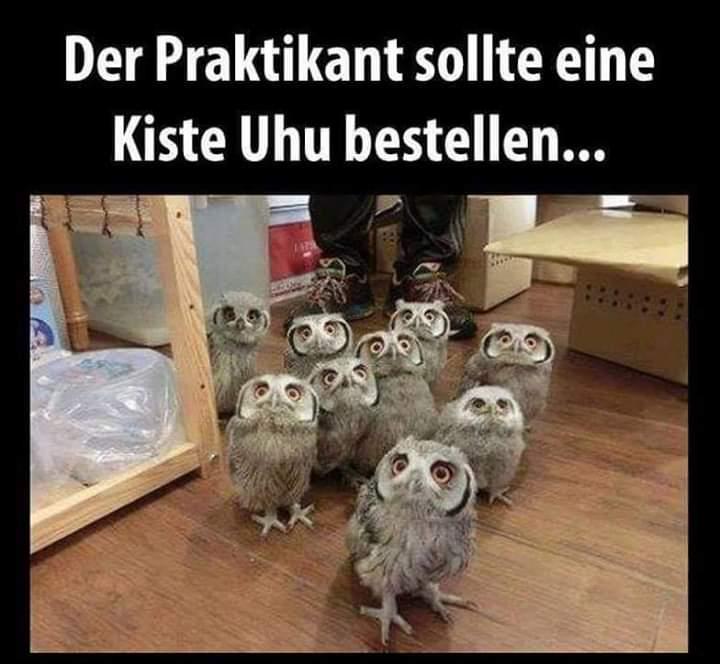 Unser Praktikant