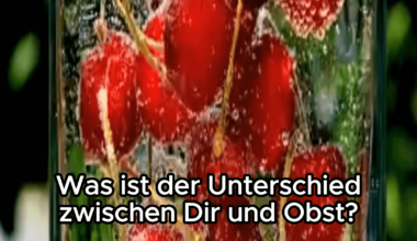 Obst